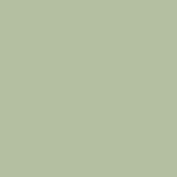 Pistachio - Signature PURE Solids