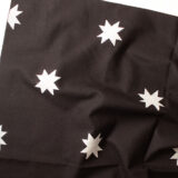 PREORDER Warp and Weft Mystic Fable Quilt Star in Black by Alexia Abegg